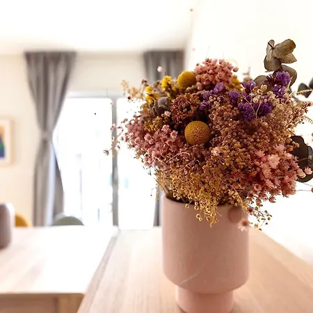 Apartman Mira Living *